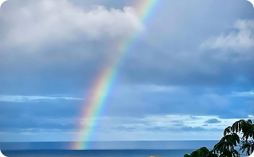 Kauai Ayurveda