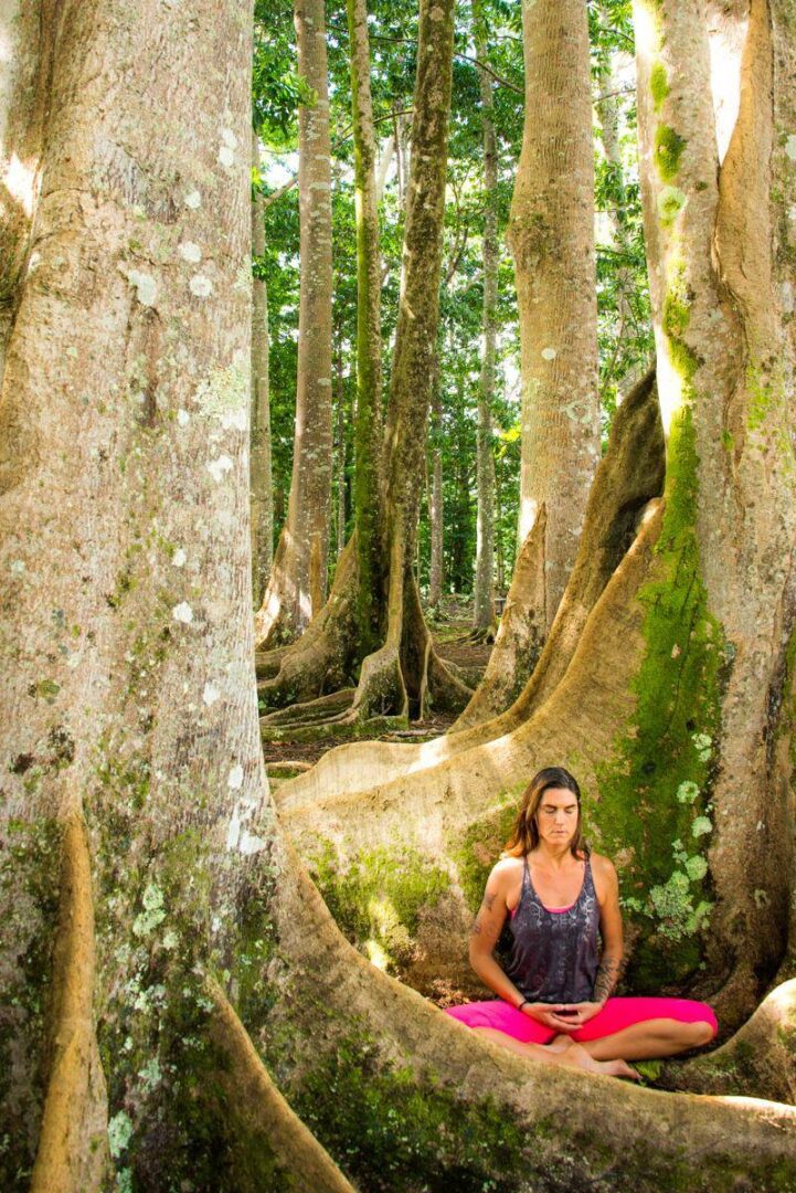 Kauai Ayurveda